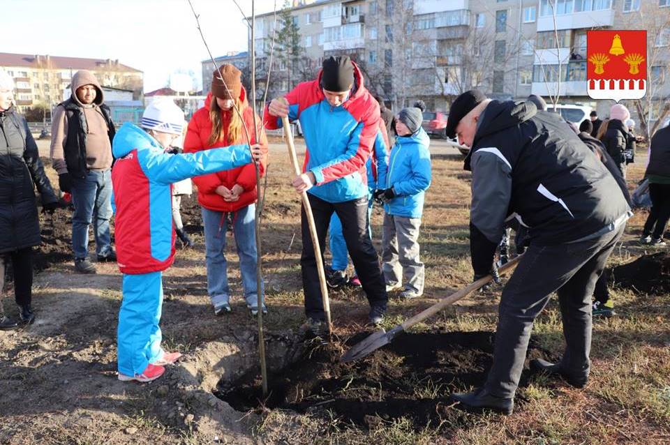 В Далматово состоялась экологическая акция по посадке деревьев.