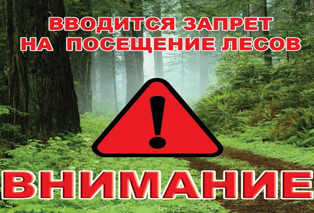 В Курганской области введен запрет на посещение лесов.